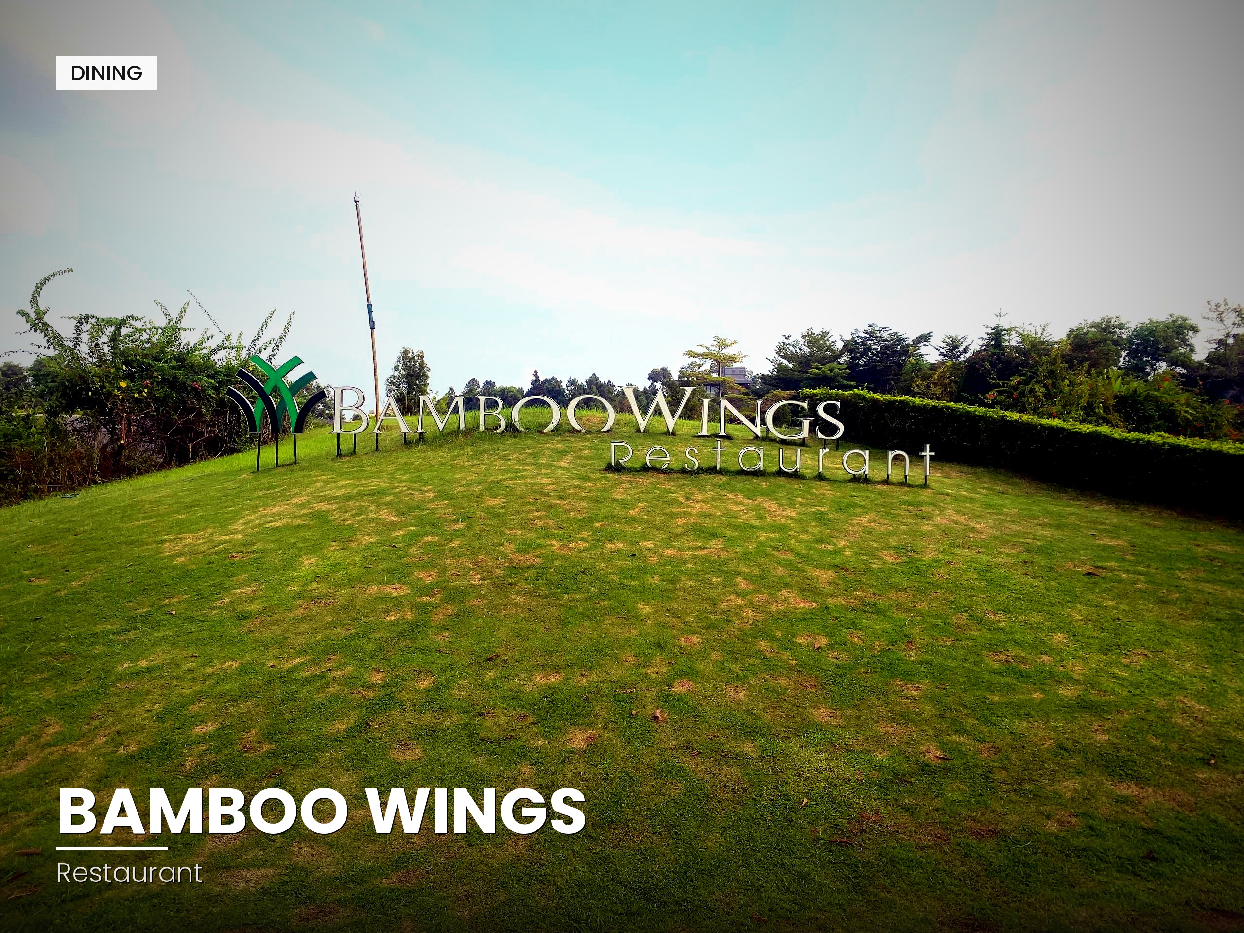 Bamboo Wings 1