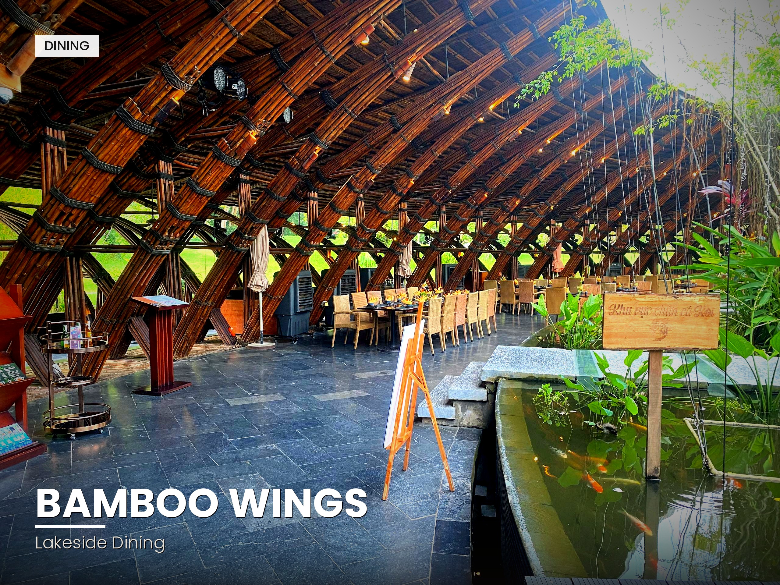 Bamboo Wings 2